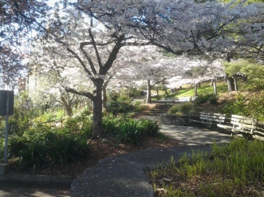 photo by Orion Tippens