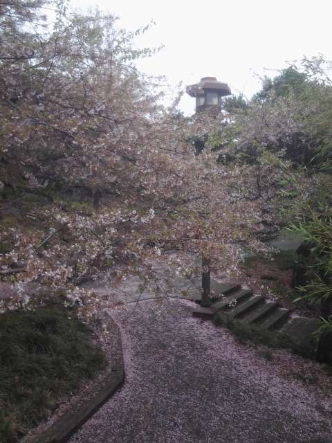 cellphone photo by Orion Tippens 