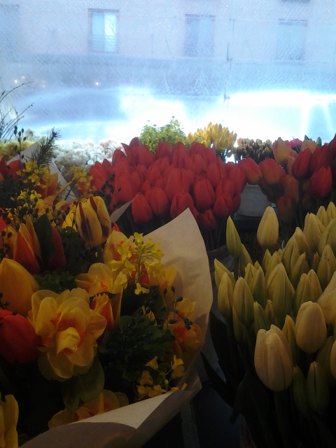 Photo by Orion Tippens