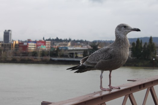 photo by Orion Tippens