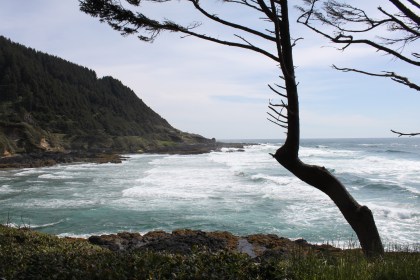 photo by Orion Tippens