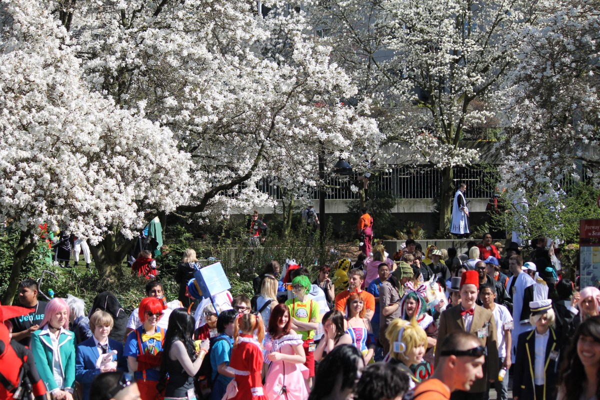 photo by Orion Tippens