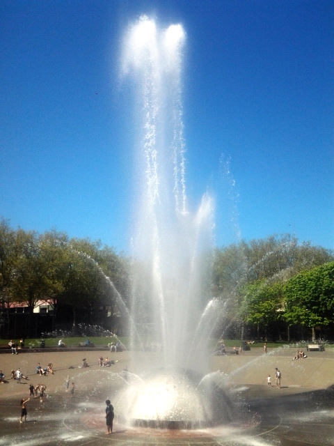 photo by Orion Tippens