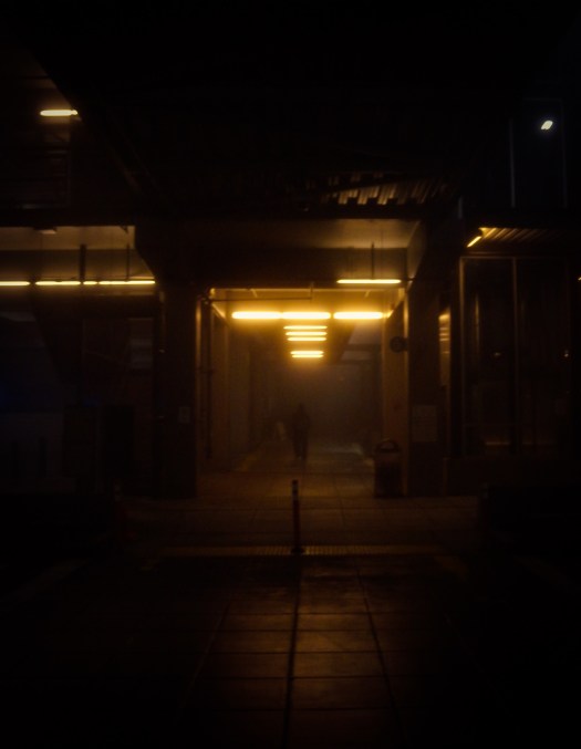 Photo Jan 06, 11 01 29 PM