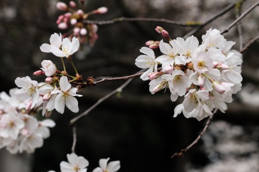 Photo Mar 13, 2 39 30 PM