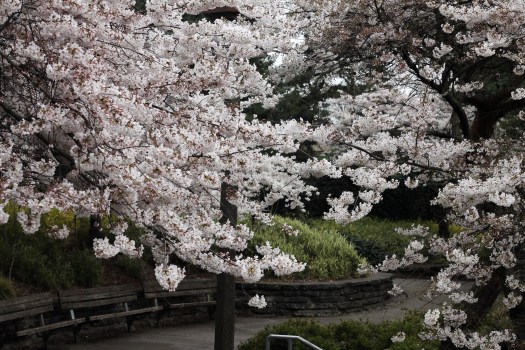 Photo Mar 13, 2 42 28 PM