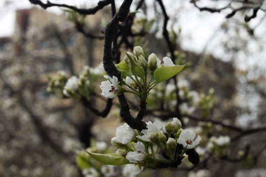 Photo Mar 13, 2 57 44 PM