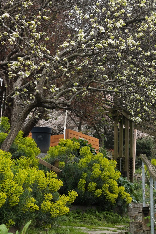 Photo Mar 13, 2 59 35 PM (1)