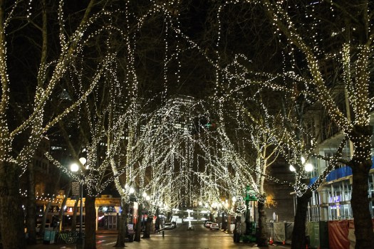 Photo Dec 16, 6 59 44 PM