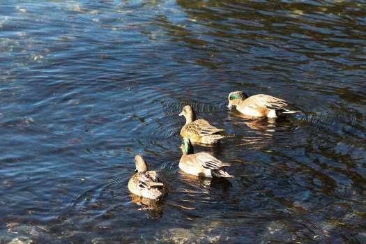 Photo Jan 01, 12 17 11 PM