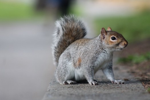 Photo Mar 25, 1 39 31 PM