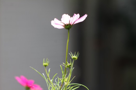 photo-sep-18-1-52-32-pm