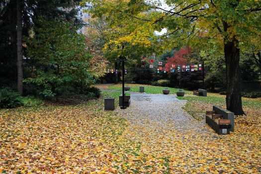 photo-nov-05-1-01-31-pm