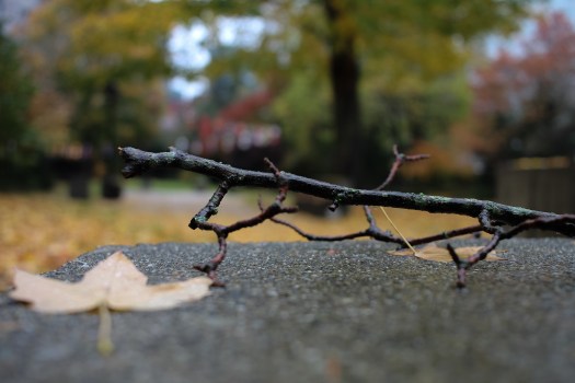 photo-nov-05-1-06-51-pm