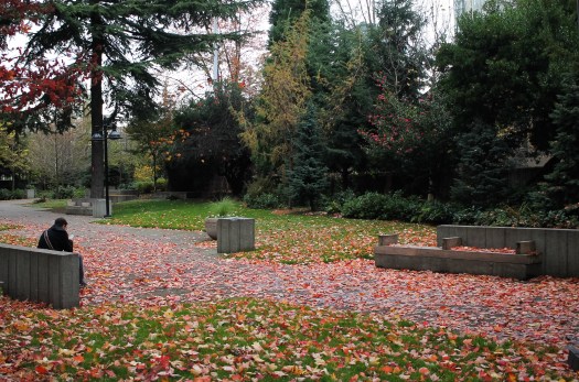 photo-nov-12-3-05-36-pm