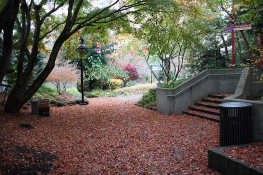 photo-nov-12-3-07-45-pm