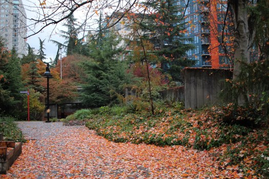 photo-nov-12-8-39-29-am