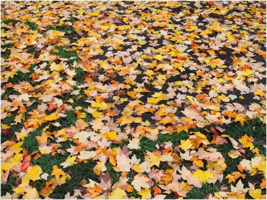 photo-nov-20-11-46-18-am