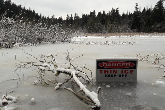 photo-jan-01-1-35-30-pm