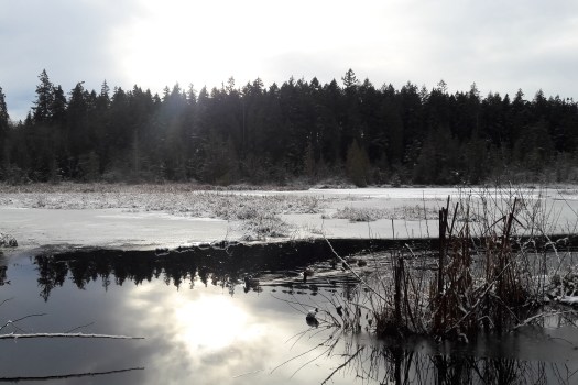 photo-jan-01-1-47-02-pm