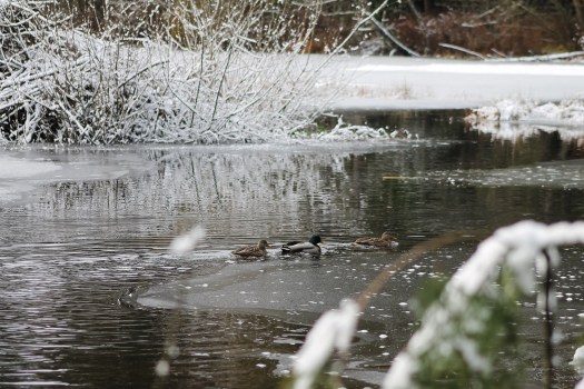 photo-jan-01-1-54-36-pm