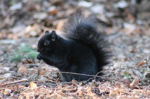 photo-jan-04-11-51-16-am