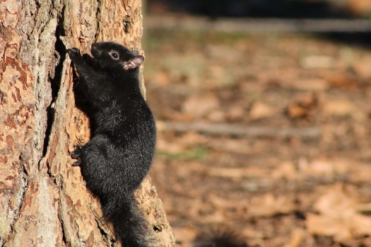 photo-jan-04-12-00-47-pm