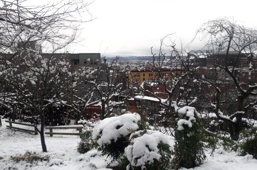 photo-feb-06-1-41-15-pm