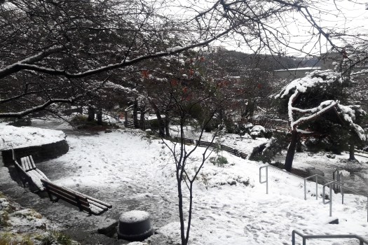 photo-feb-06-1-41-43-pm