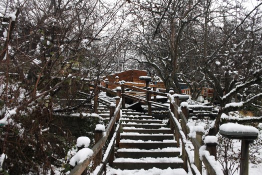 photo-feb-06-1-47-16-pm