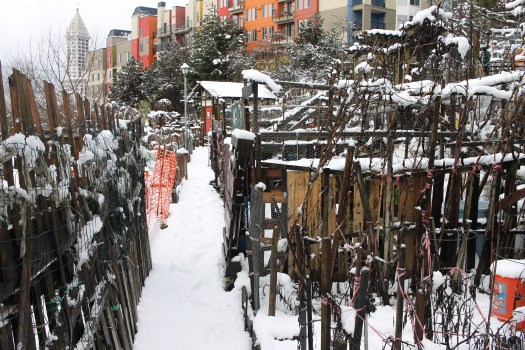 photo-feb-06-1-48-19-pm