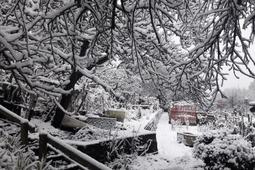 photo-feb-06-8-20-23-am