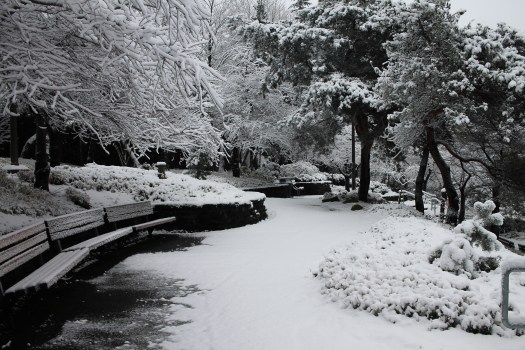 photo-feb-06-8-21-53-am