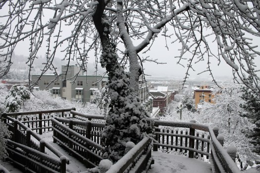 photo-feb-06-8-22-53-am