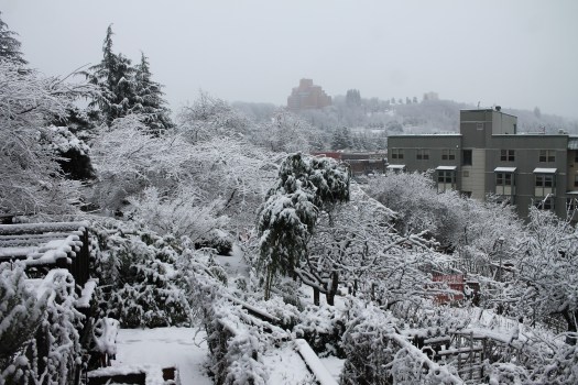 photo-feb-06-8-23-17-am