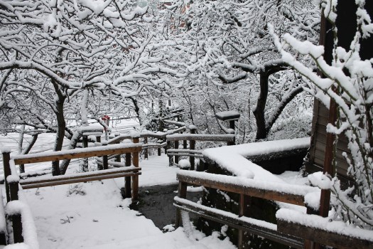 photo-feb-06-8-28-04-am