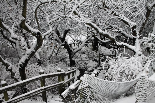 photo-feb-06-8-28-52-am