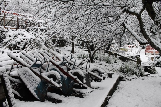 photo-feb-06-8-30-41-am