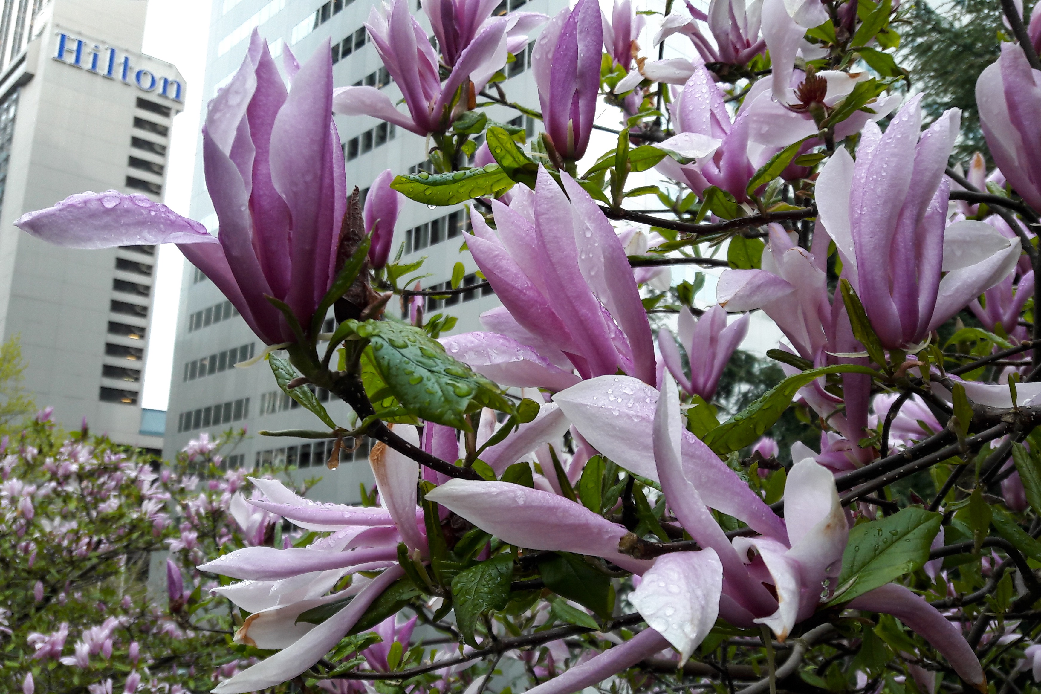 Photo Apr 24, 7 56 35 AM