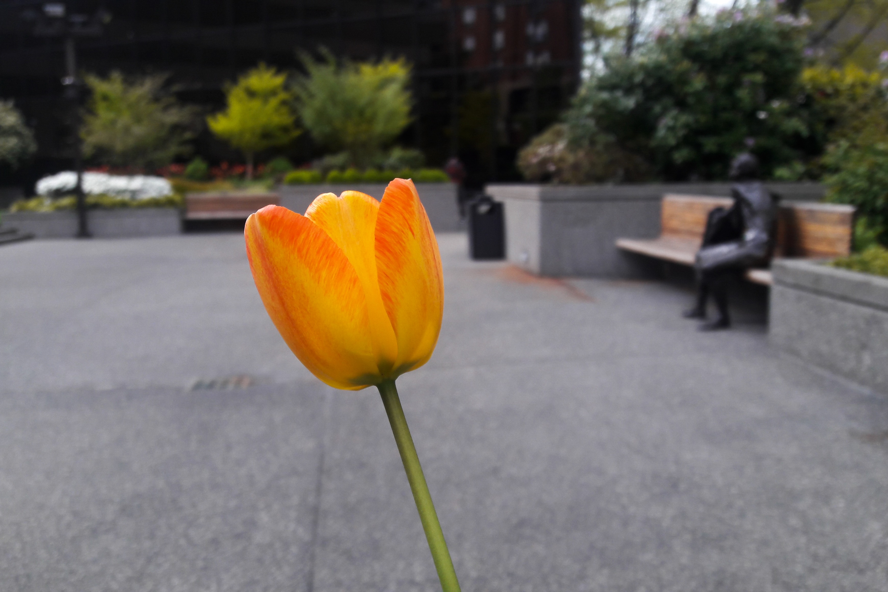 Photo Apr 30, 4 14 52 PM (1)