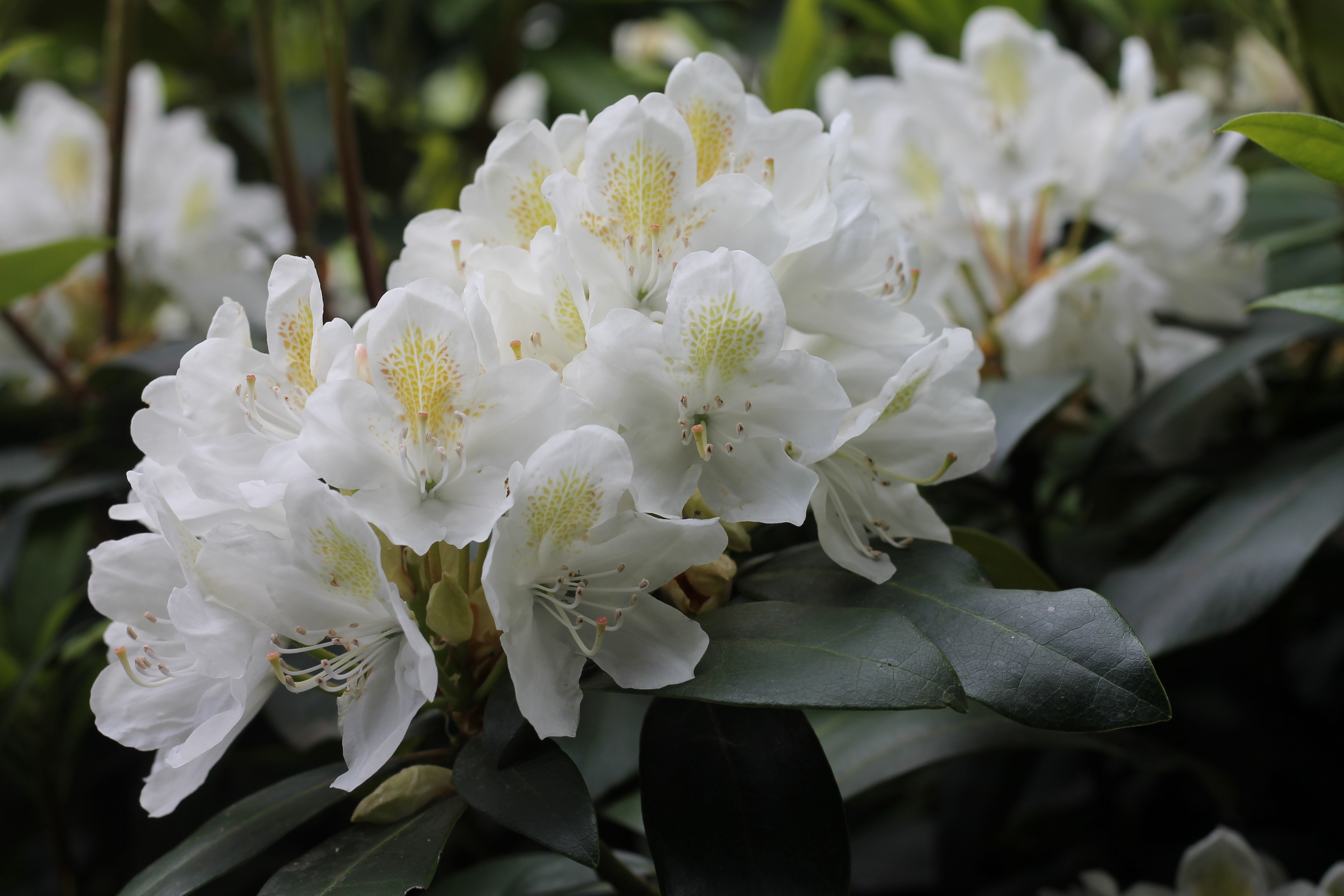 Photo Jun 03, 2 14 00 PM