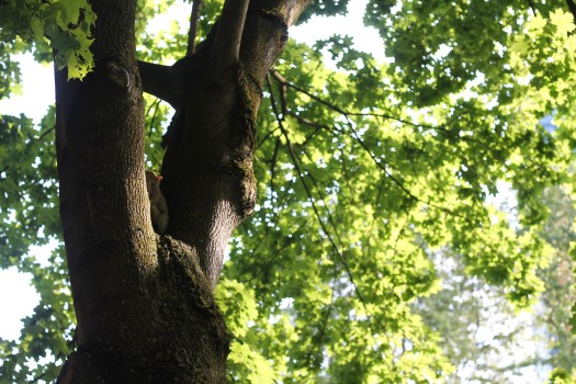 Photo Jun 07, 7 31 03 AM