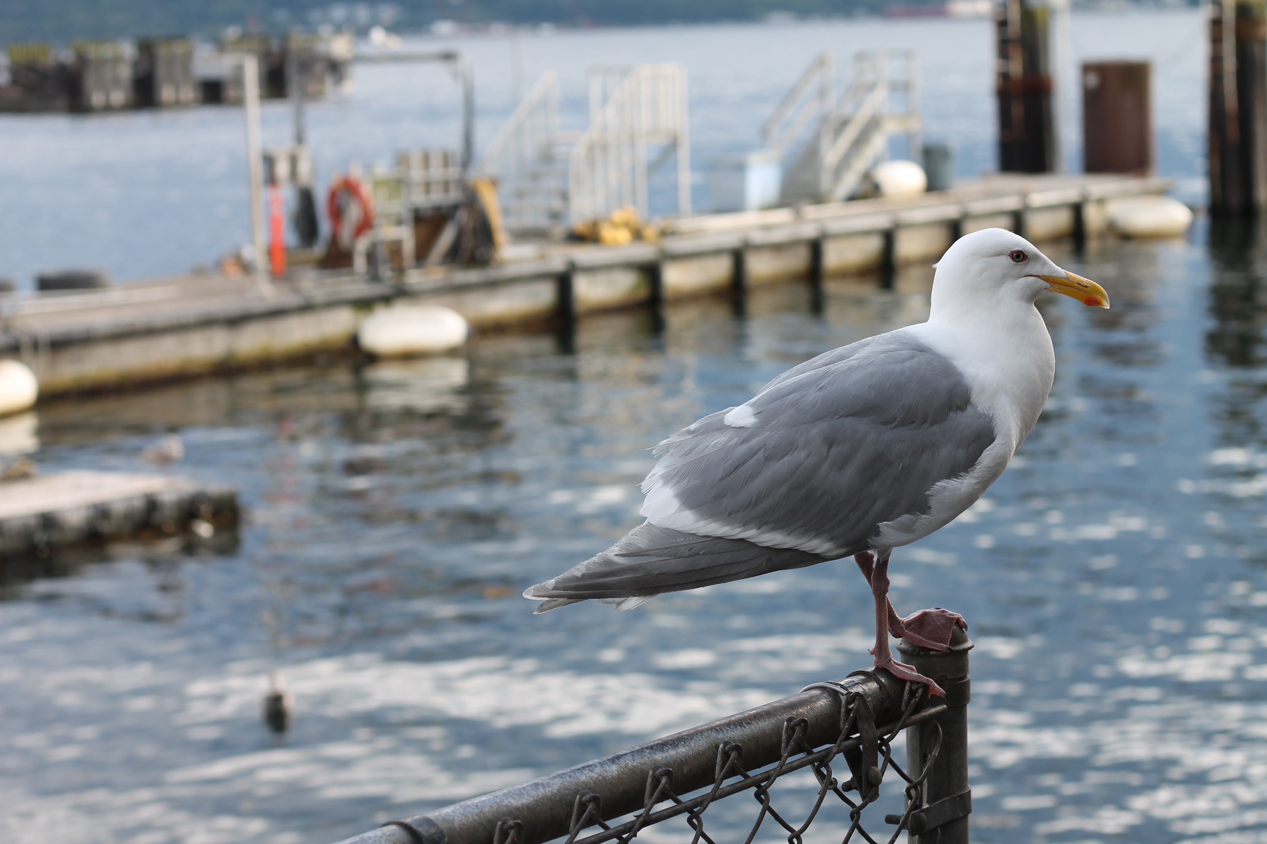 Photo Jun 09, 6 06 41 PM