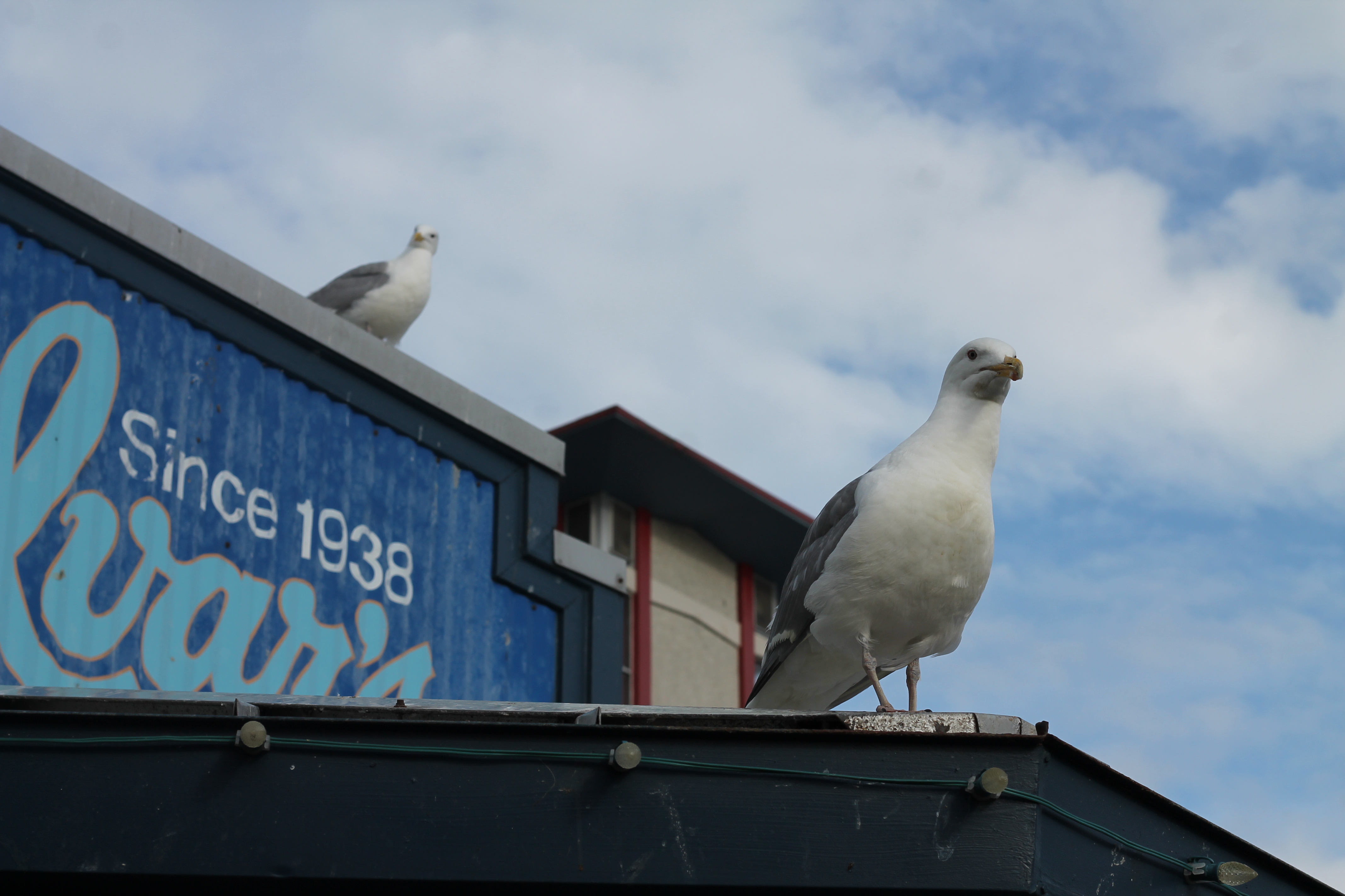 Photo Jun 09, 6 07 33 PM