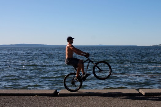 6784fedc-7394-42ee-9824-ec5bf49ca775