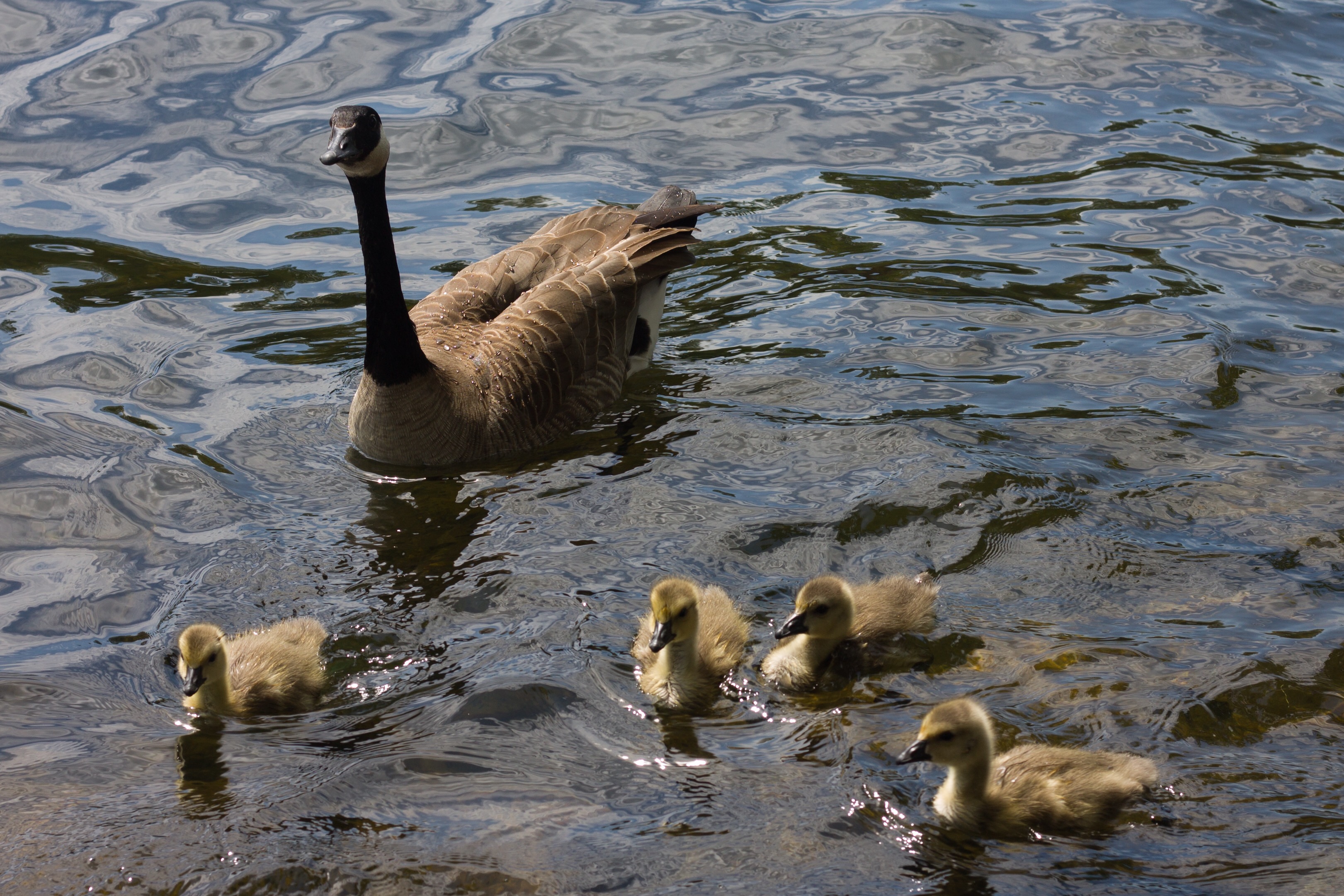 Photo May 06, 1 43 50 PM