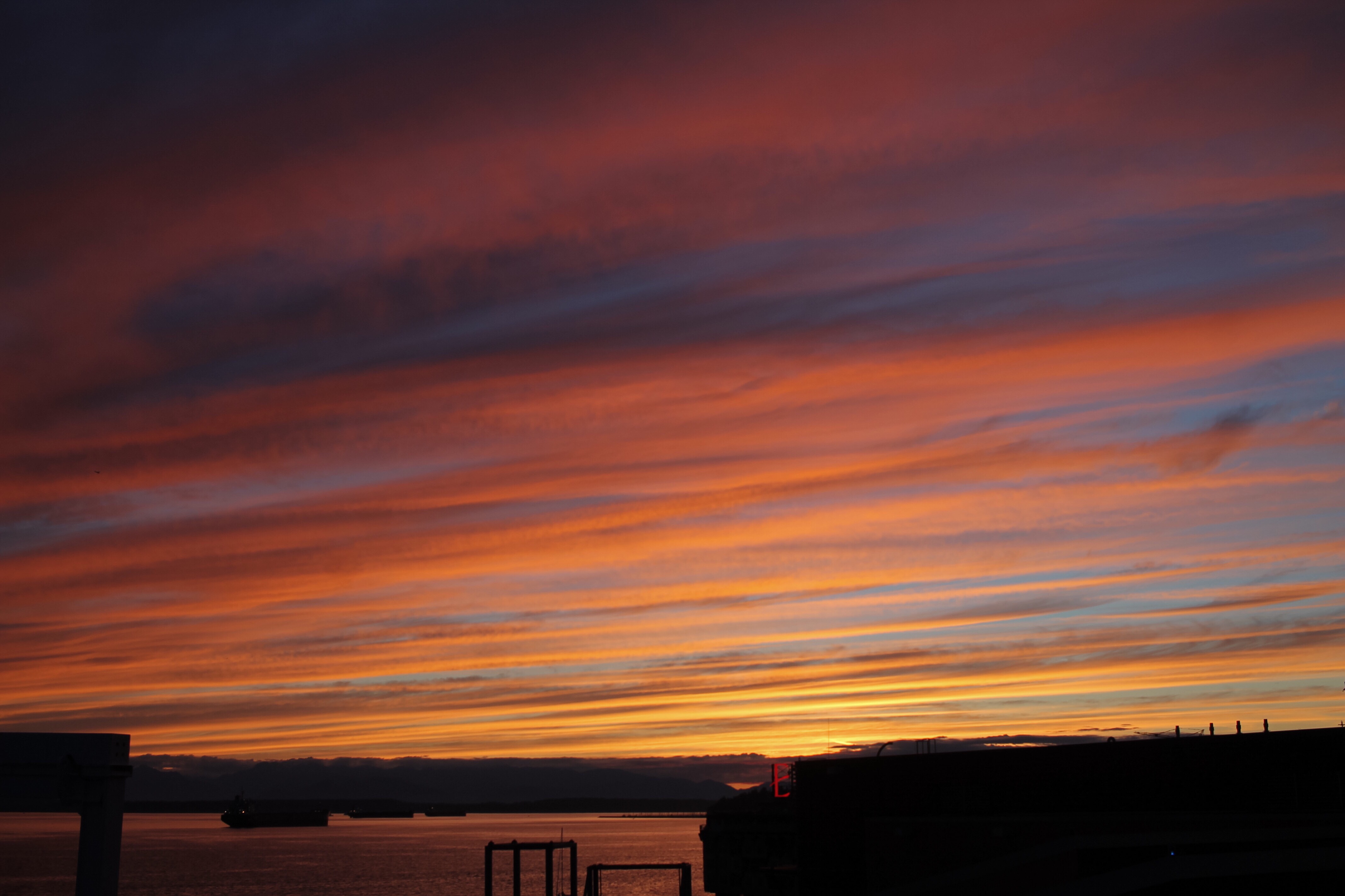 290f511c-2fb2-4201-bc23-3e5238f451fc