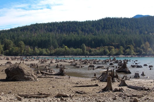 731a931c-b37c-4e08-b41d-e91ff52241ec