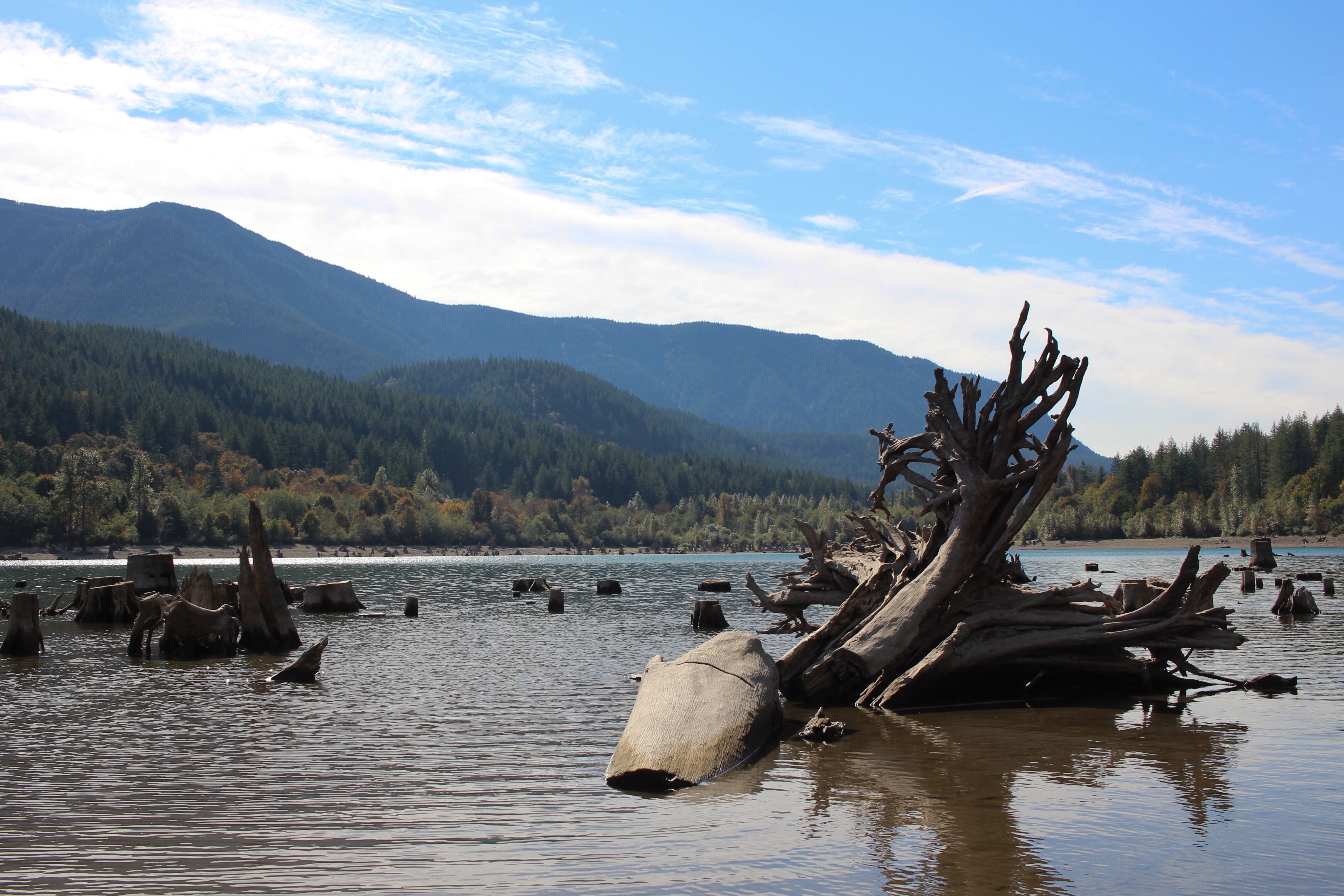 d51d843b-bacd-49a1-81b3-48ad7e290deb