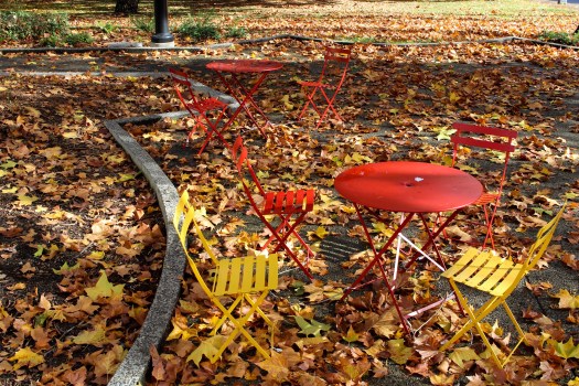 384055f2-45c9-4a46-8ddd-d98eed1d34df